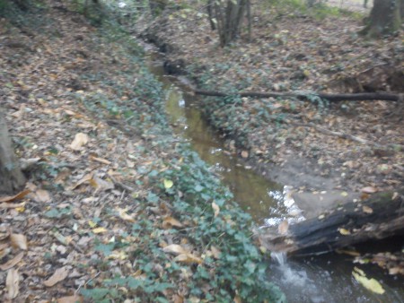 le Petit Ruisseau et sa Cascade